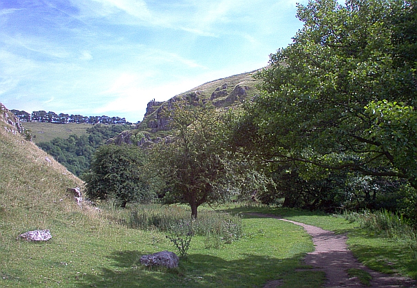 Wolfscoat dale, a path running through trees and grass in a lush valley